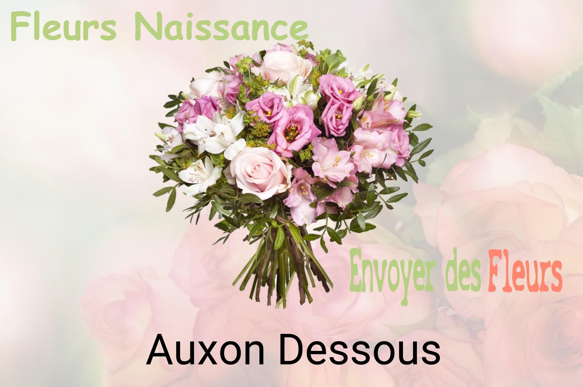 Bouquet de fleurs de naissance livré à Auxon-Dessous